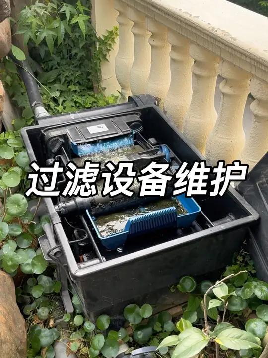 你的鱼池过滤设备耗材更换了吗?5吨小鱼池的过滤设备维护