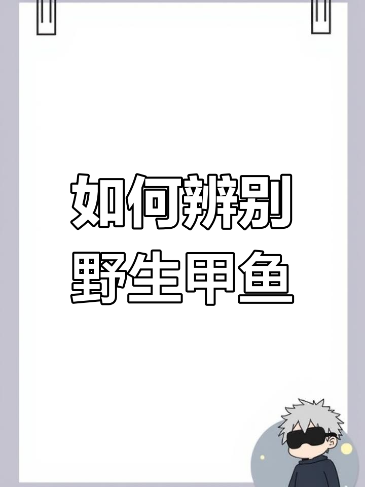 分辨野生与养殖甲鱼,爪子、舌头和眼睛都有不同