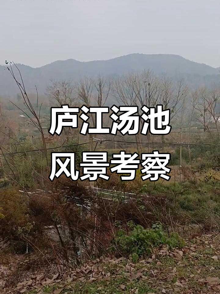 庐江汤池镇景点探秘，竹林水塘美景尽收眼底