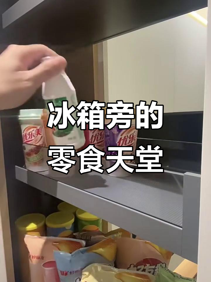 冰箱侧边变零食柜,幸福感爆棚!