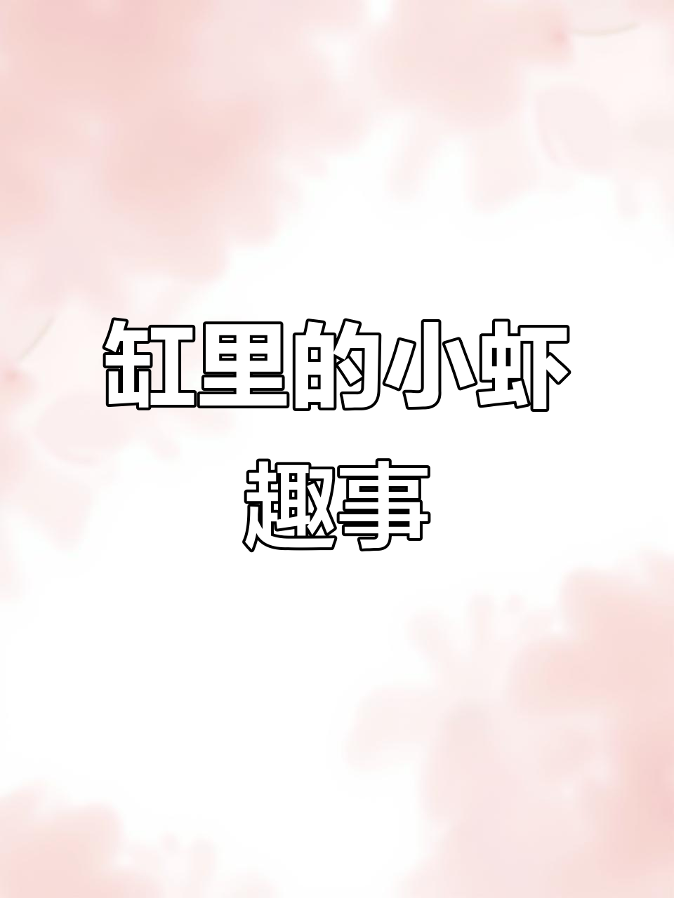 小虾们的趣味世界:透明与千年虾的争斗