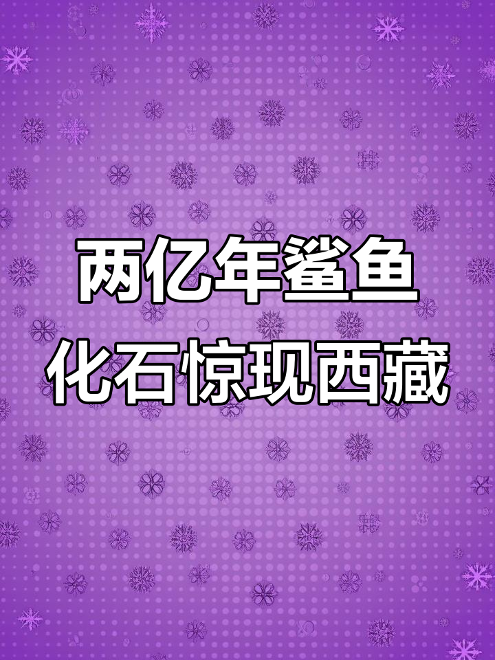 西藏发现两亿年前鲨鱼化石,考古学家竟被“砸伤”