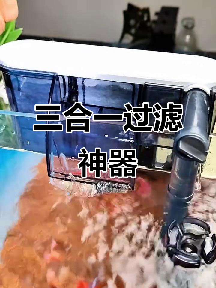 壁挂三合一过滤器,省空间又高效,轻松打造清澈鱼缸