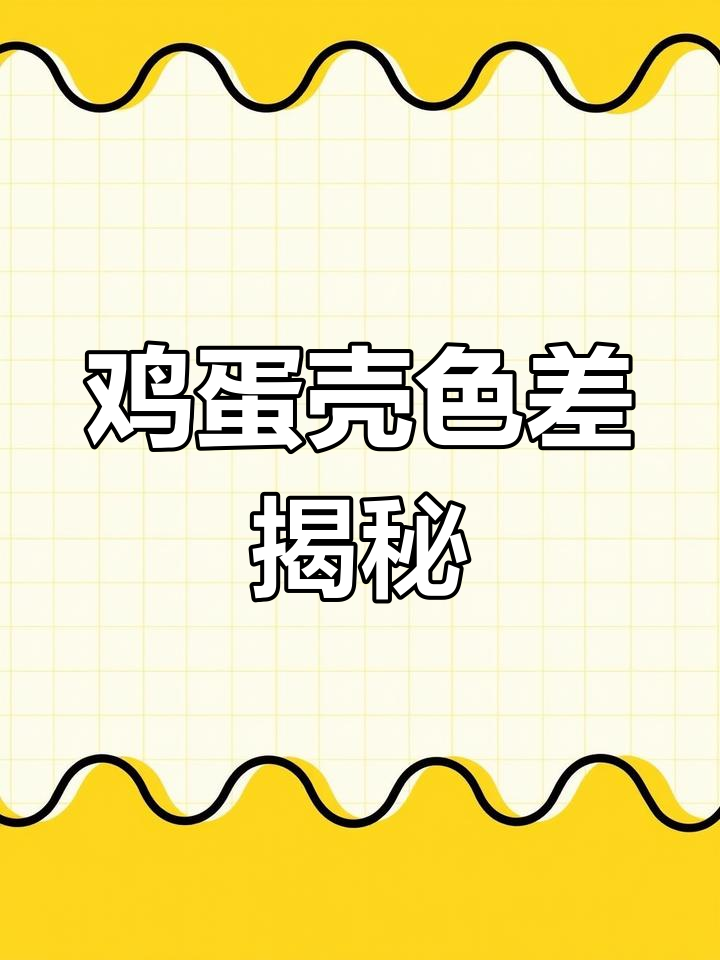 鸡蛋壳颜色不同,营养差异大!养殖户透露真相