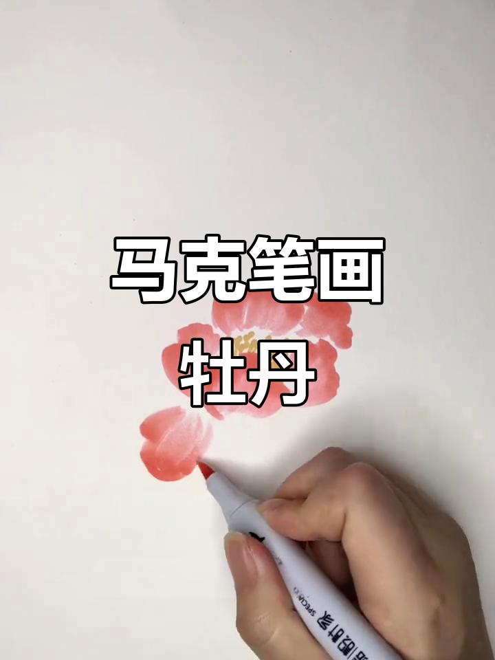 牡丹花开,国色天香!马克笔轻松画出富贵花朵