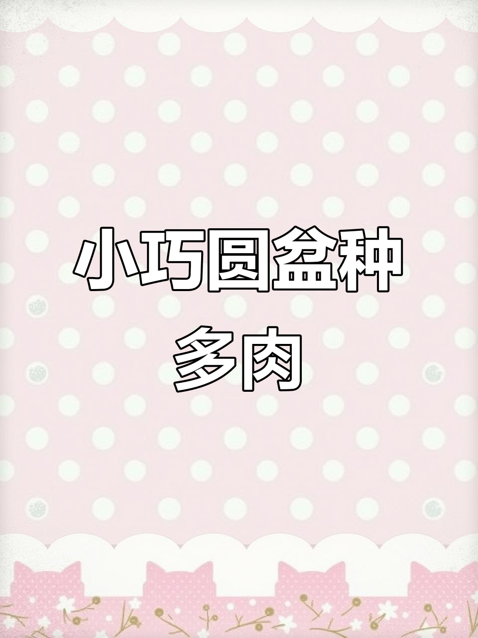 16厘米圆形韩盆,适合多肉植物种植