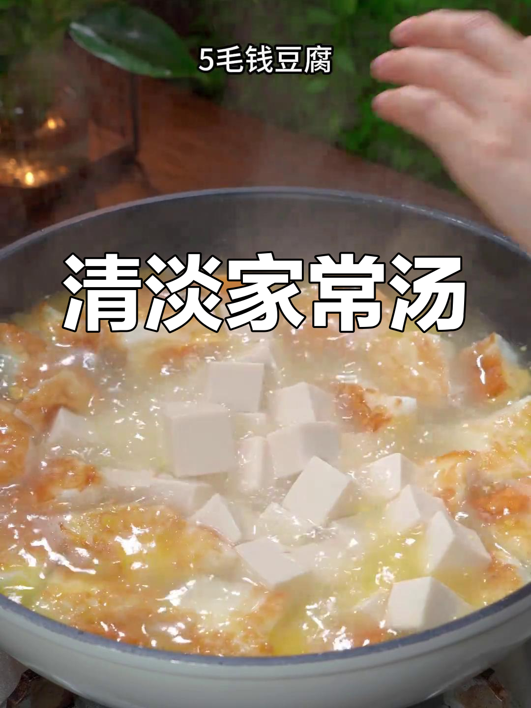 白菜豆腐汤,清淡不腻,老少皆宜,营养又美味