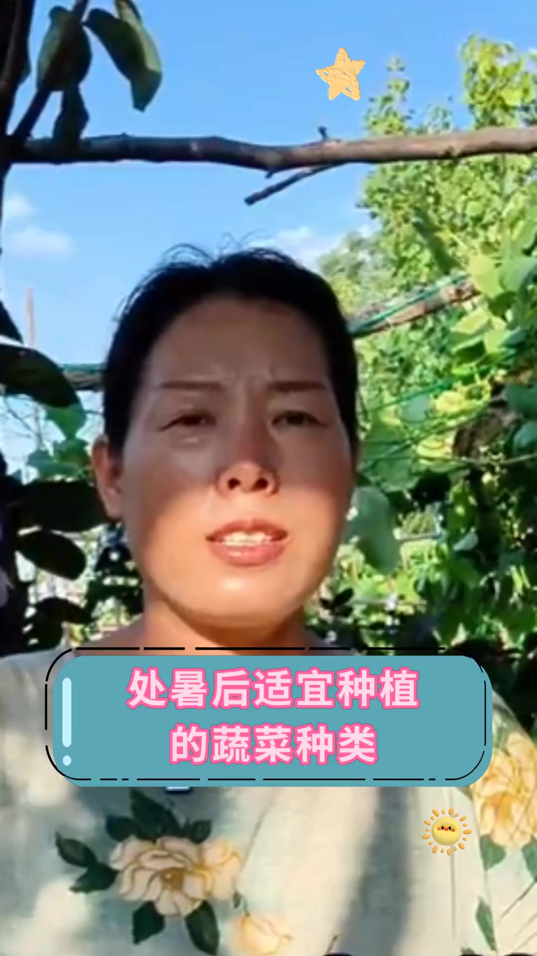 处暑后适宜种植,的蔬菜种类