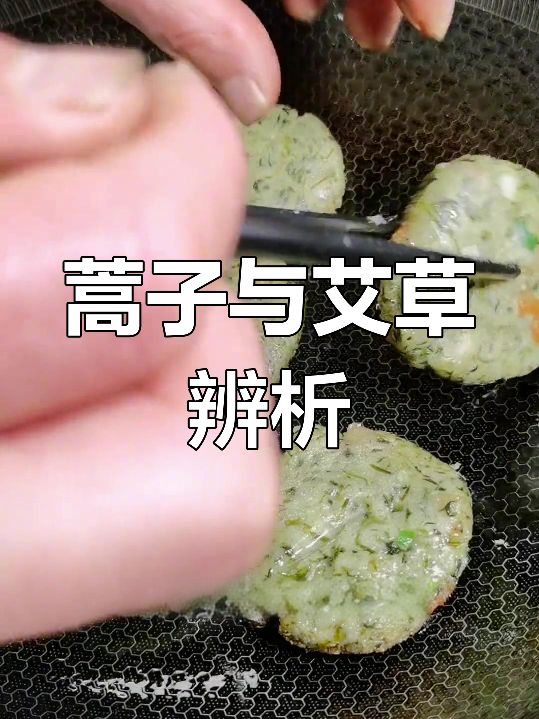 蒿子与艾草大揭秘,教你轻松辨别!