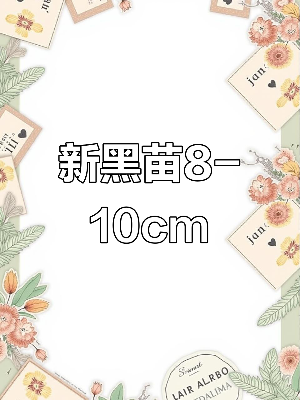 潍坊鱼苗场新黑苗,八到十公分超清晰打包发货