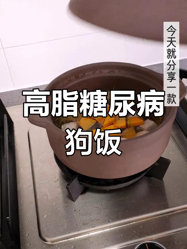 狗狗高血脂高血糖调理食谱,玉米须、苦瓜等食材助力健康