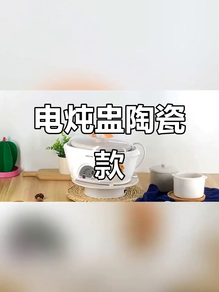天际电炖盅，白瓷隔水煲汤，1.6L容量三胆设计