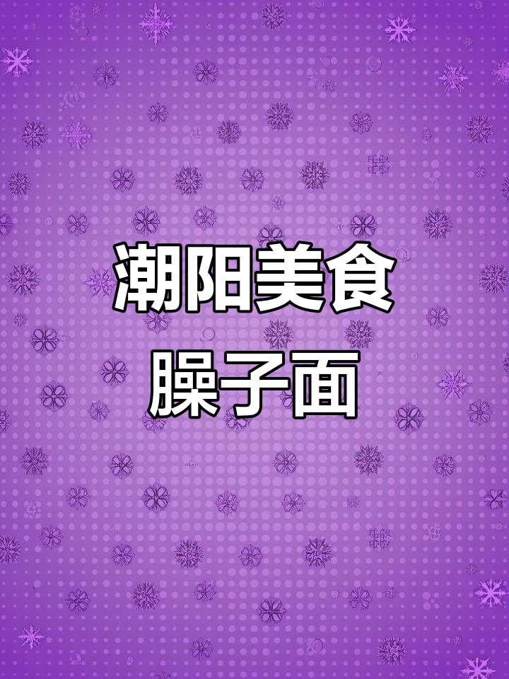 潮阳新发现!臊子面与肉夹馍的美味之旅