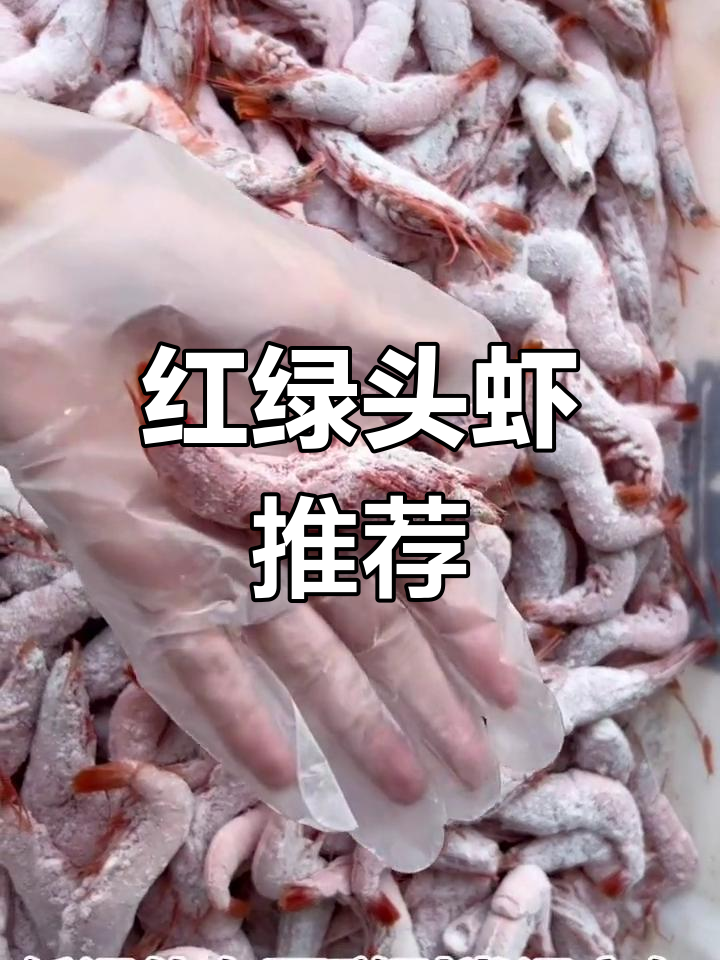 台州红绿头虾,新鲜美味,海鲜爱好者必试!