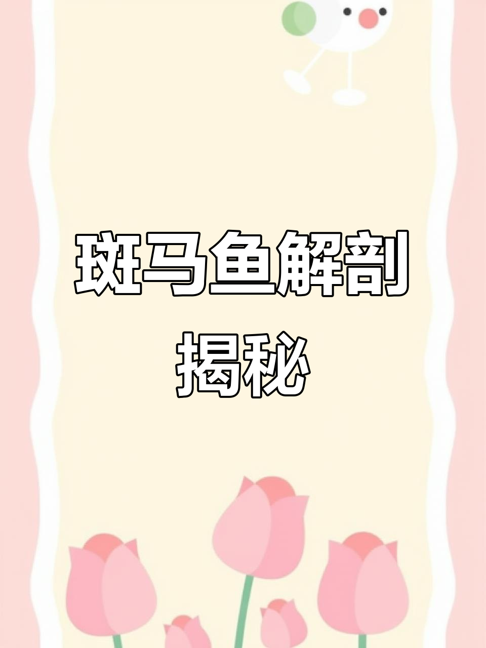 斑马鱼模型解剖：探索神奇生物的内部结构