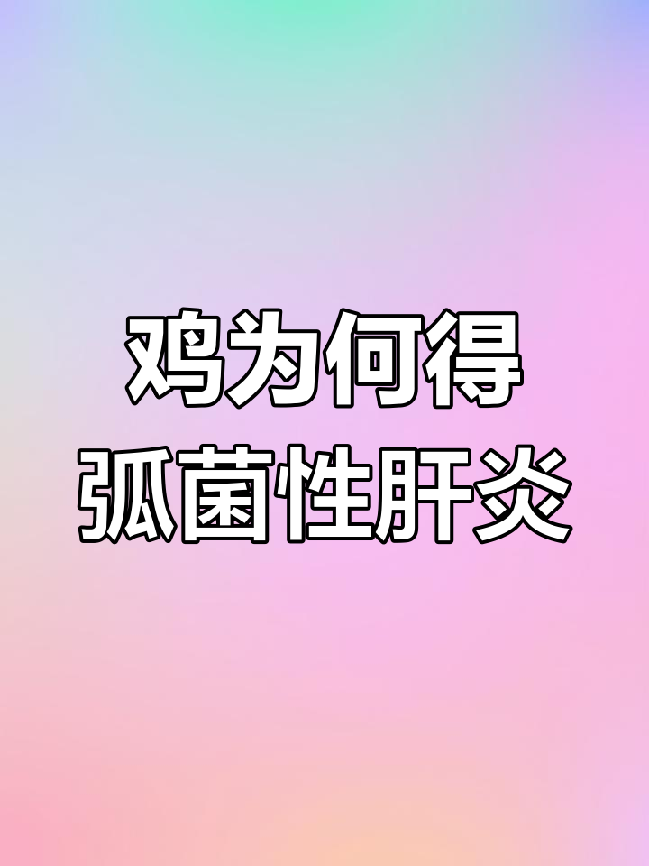 鸡弧菌性肝炎的成因与预防