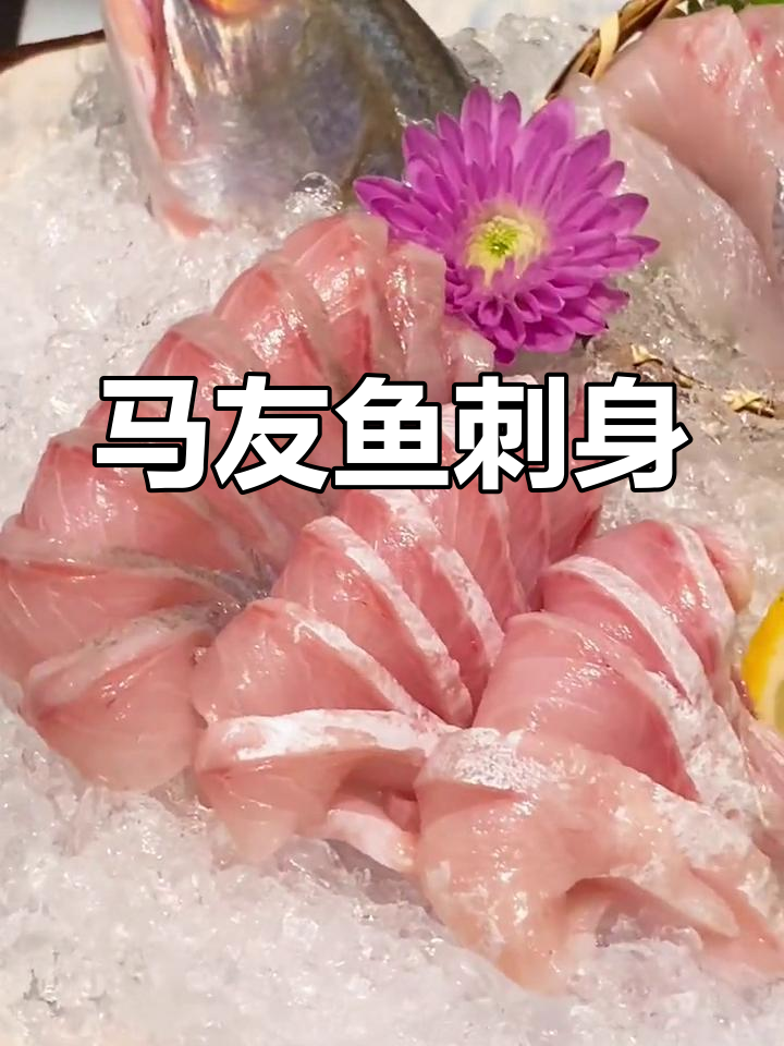 新鲜马友鱼刺身,口感鲜美必试