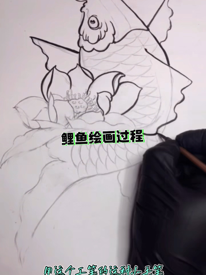 鲤鱼绘画教程