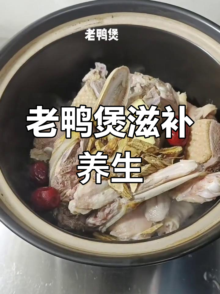 经典老鸭煲,汤鲜味美