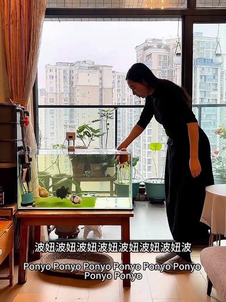 被小狗鱼吐泡泡，这感觉真是太开心了