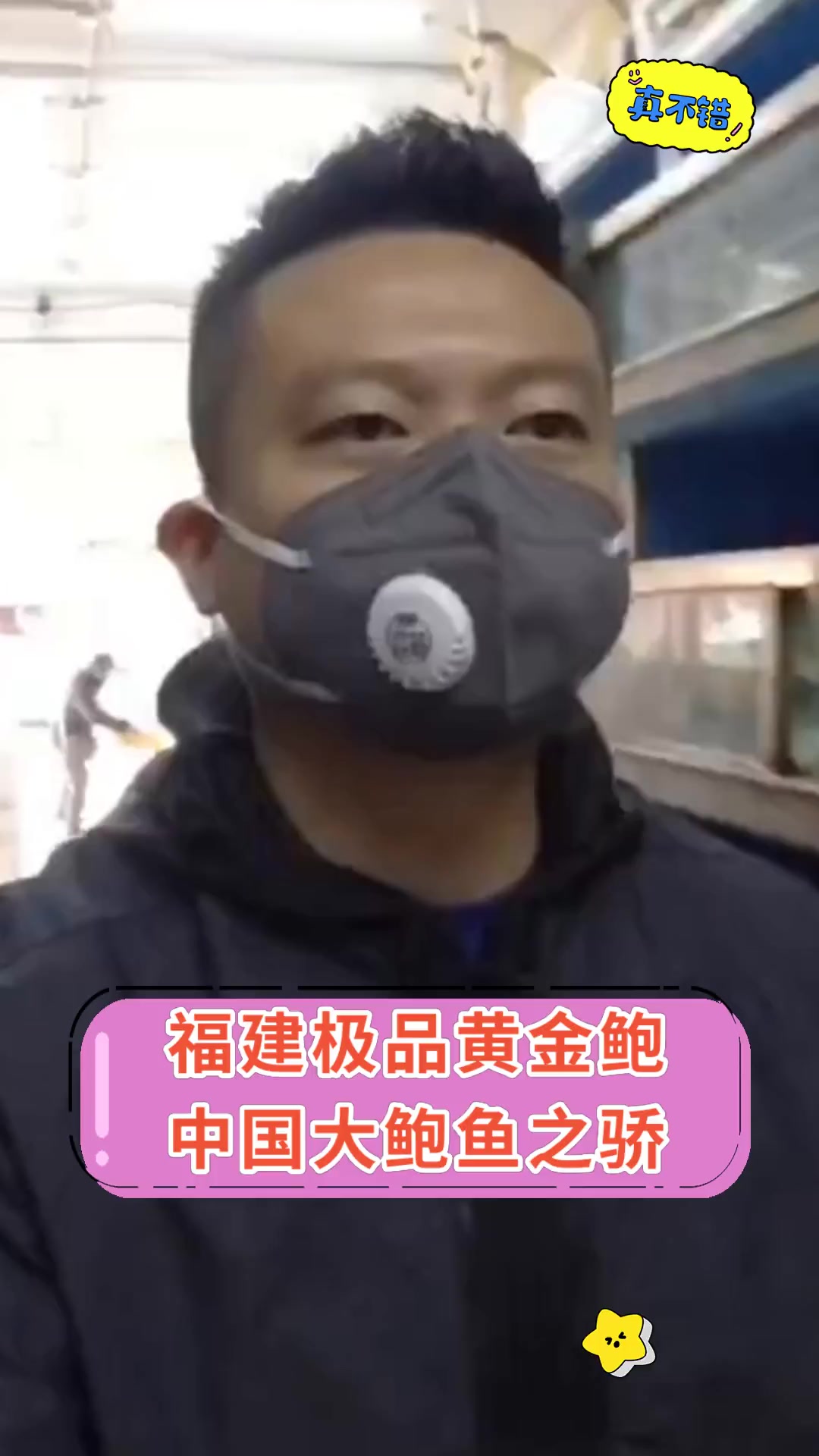 福建极品黄金鲍 中国大鲍鱼之骄