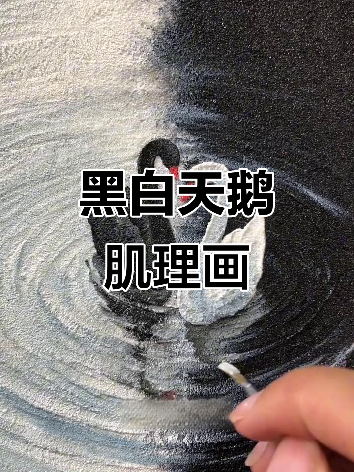 极简黑白天鹅装饰画,零基础也能轻松上手