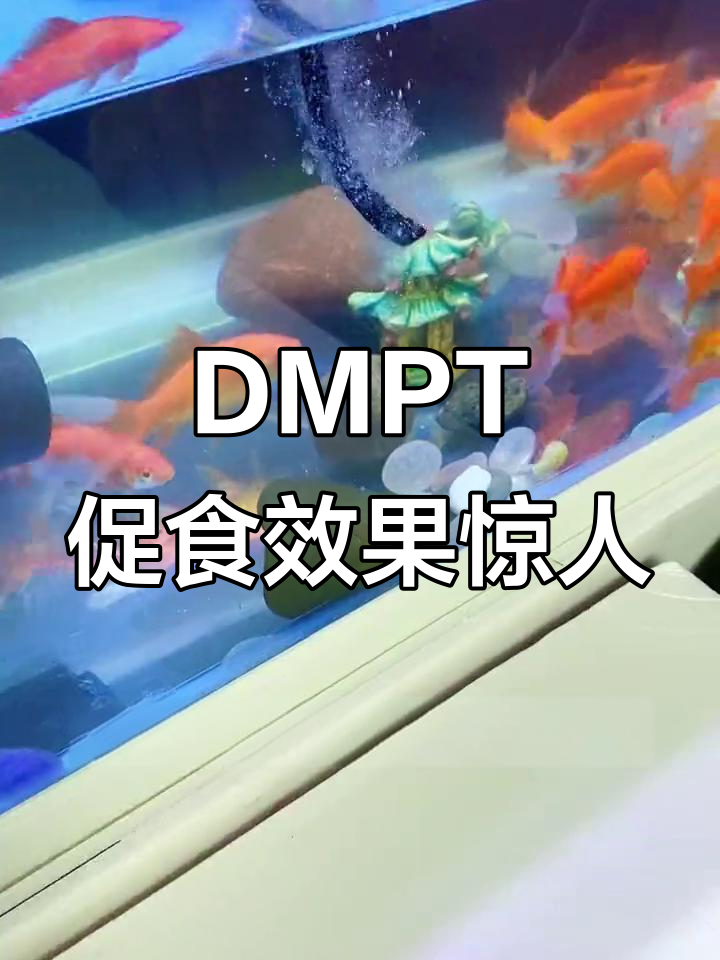 鱼吃蚊香?DMPT诱食剂让低氧水域更疯狂