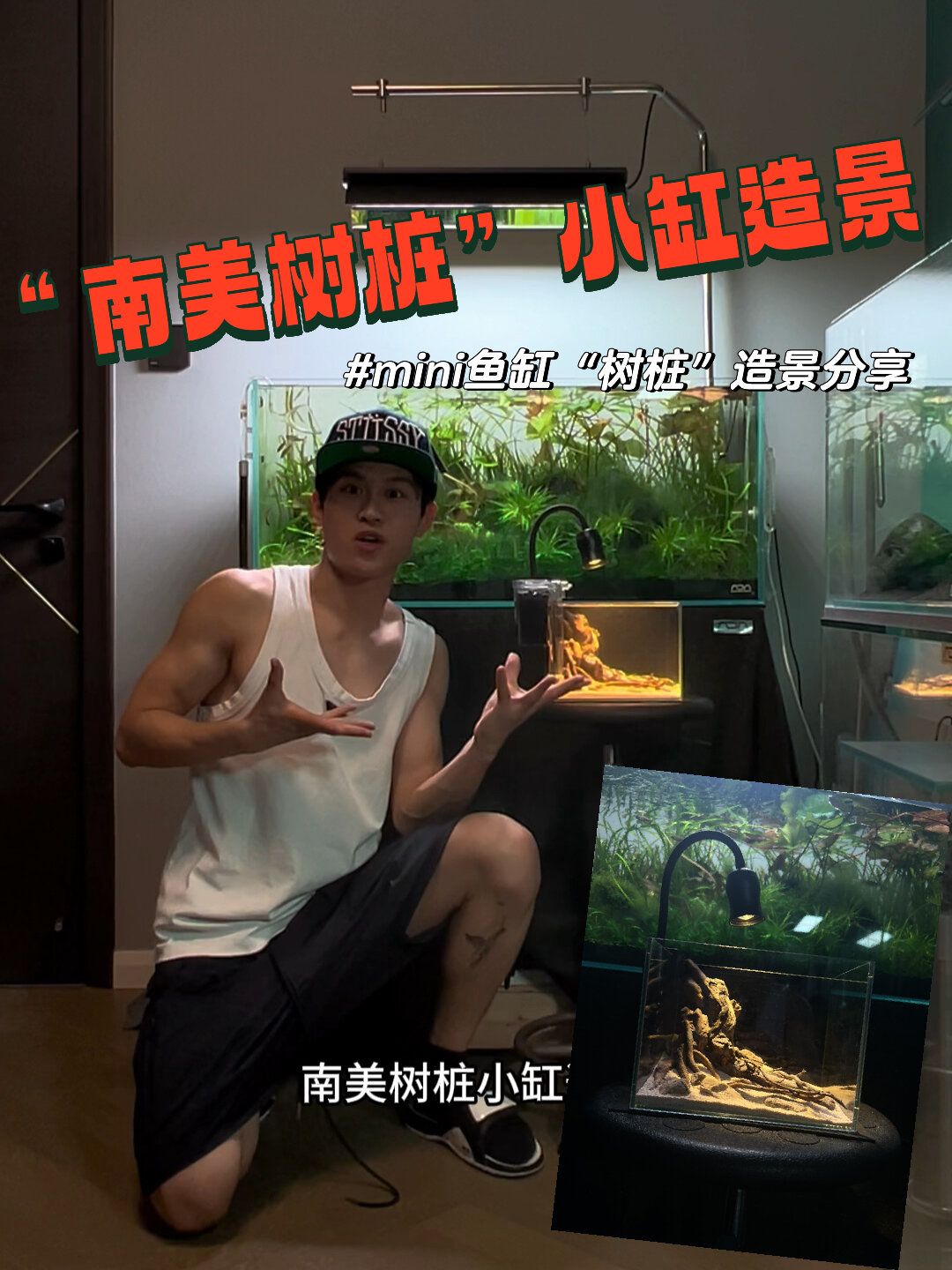 “南美树桩”小缸造景,开缸教学