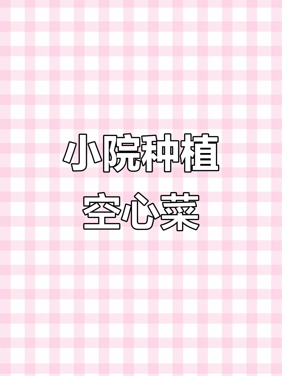 阳台小院也能种空心菜,蔬菜种子轻松搞定