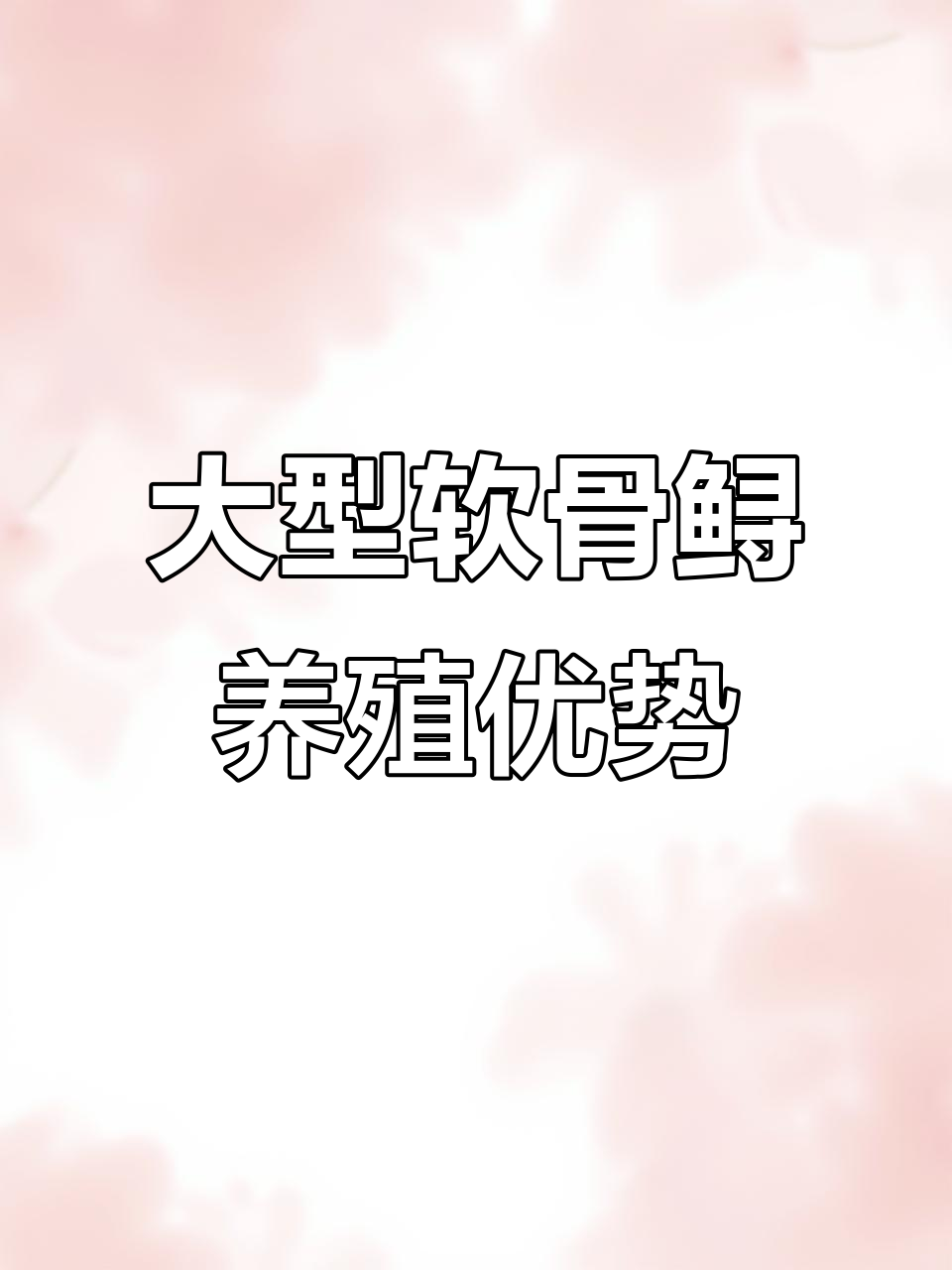 冬季适合养的软骨鲟,大型底层杂食性鱼,长势惊人