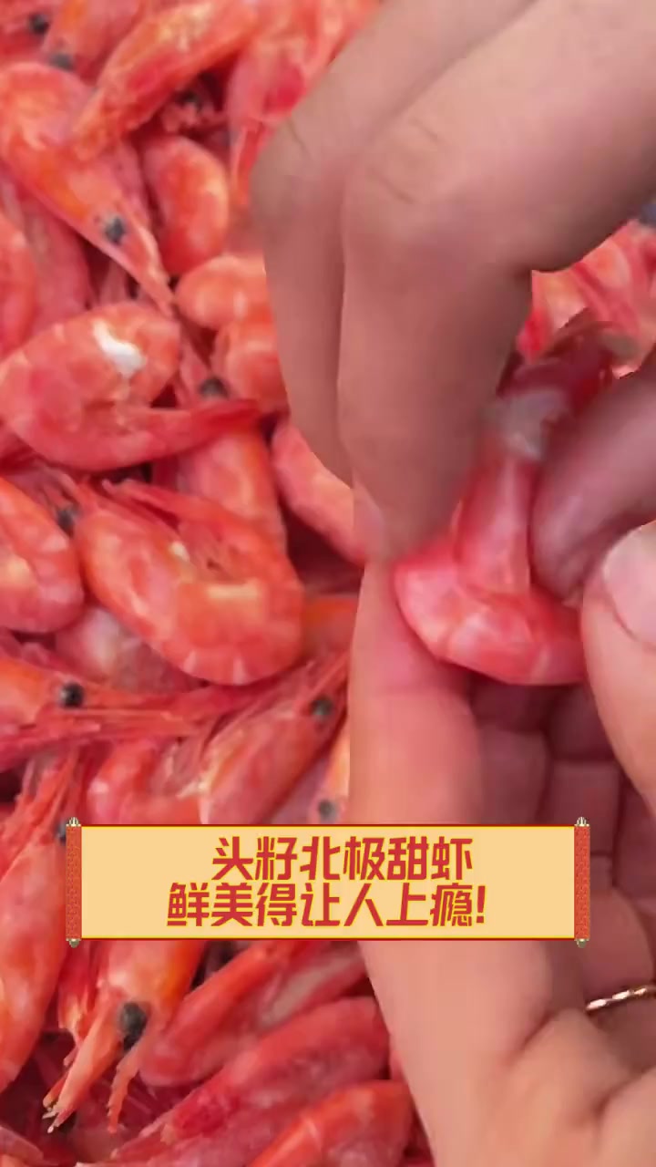 头籽北极甜虾,鲜美得让人上瘾!