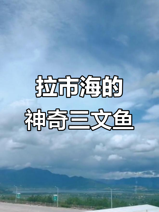 丽江拉市海:淡水湖中的三文鱼奇迹