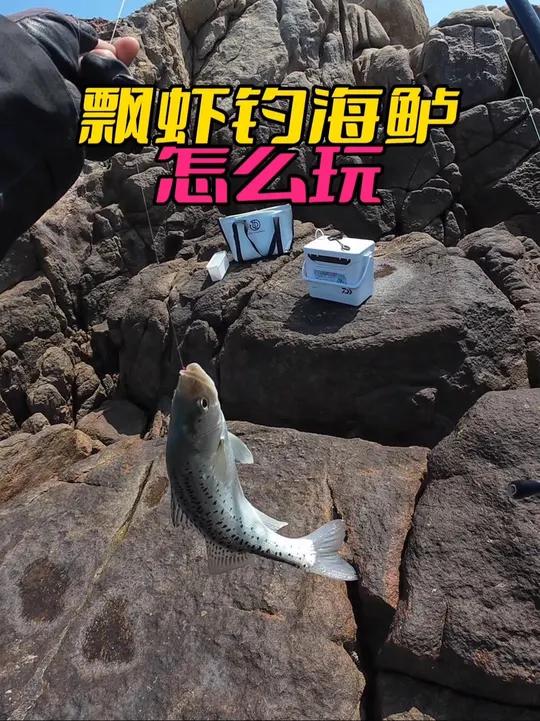 最近很多新手问我飘虾钓海鲈怎么玩,今天就给你们讲讲