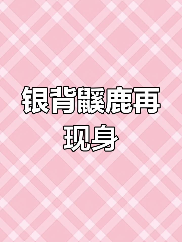 曾被认为灭绝的银背鼷鹿,如今重现越南