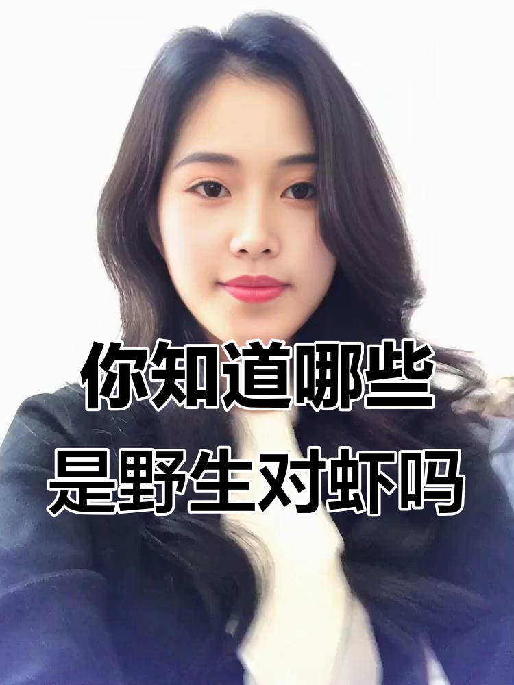 野生对虾大揭秘：这些才是真正的纯天然美味