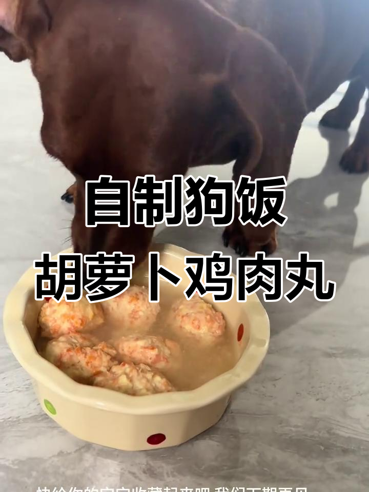 狗狗术后恢复必吃!胡萝卜鸡肉丸汤,营养满满