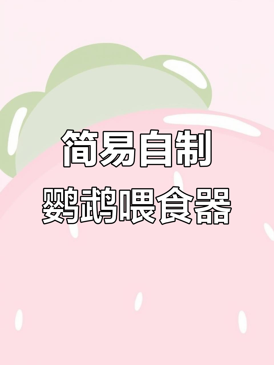 自制鹦鹉自动喂食器,轻松解决骨壳分离问题