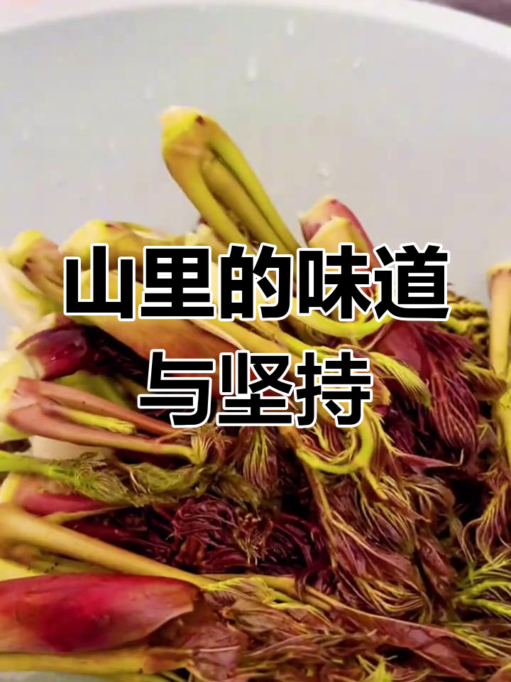 山里人为什么坚守山林,刺头菜凉拌教程送上