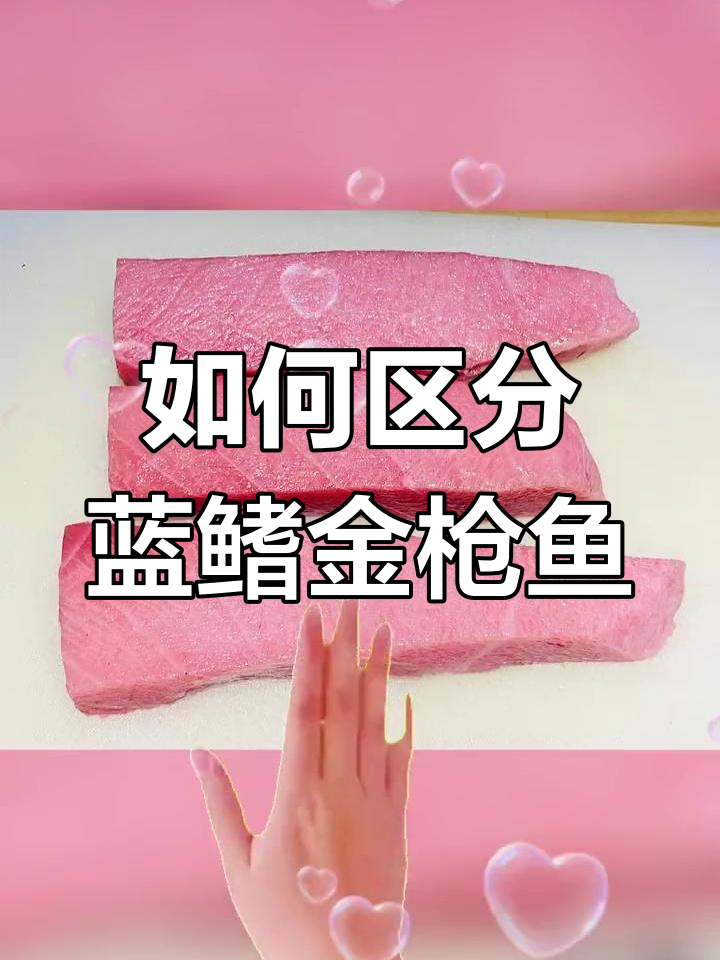 蓝鳍金枪鱼怎么分辨?一看就懂