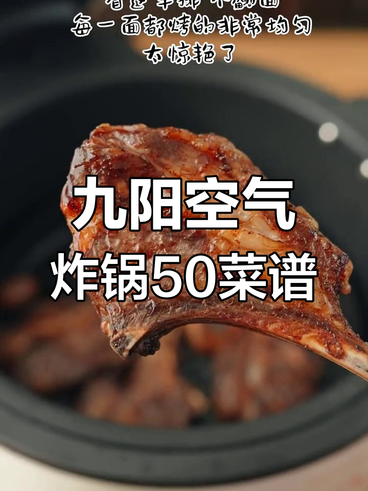 九阳空气炸锅50道美味食谱,轻松做出完美餐点