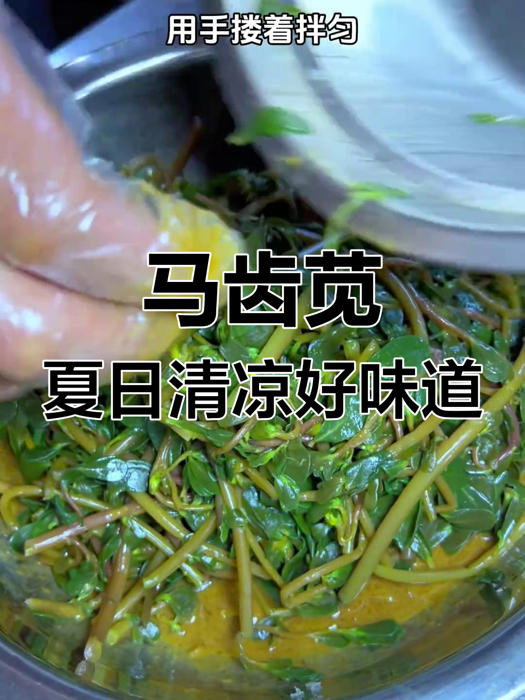 夏季必备马扎菜,清热润肠又营养,简单做法让你轻松享受美味