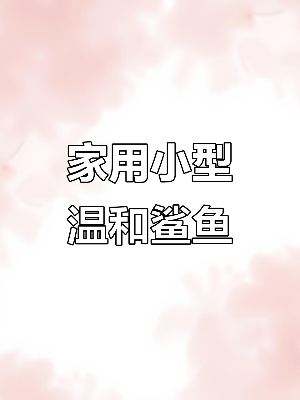 适合家庭饲养的五大温和鲨鱼品种,水族箱要求超大