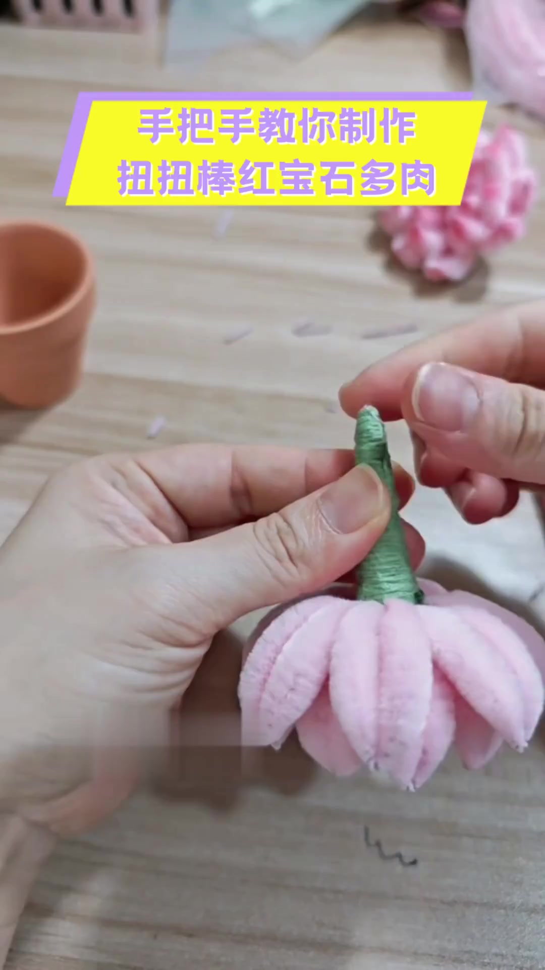 手把手教你制作扭扭棒红宝石多肉