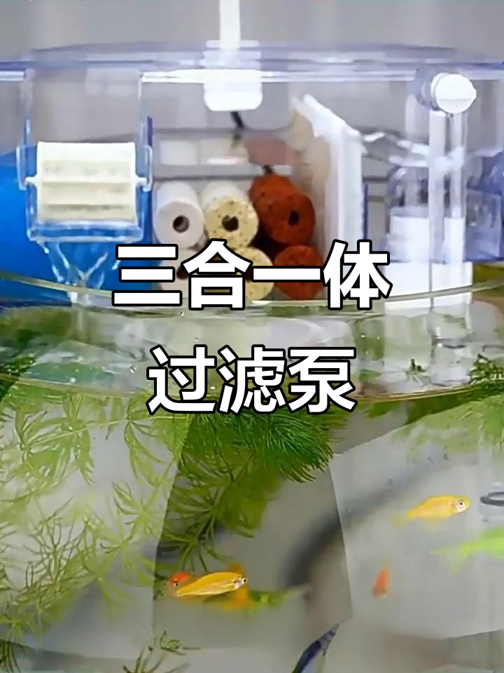 德国三合一静音过滤器,鱼缸循环制氧,超安静运行