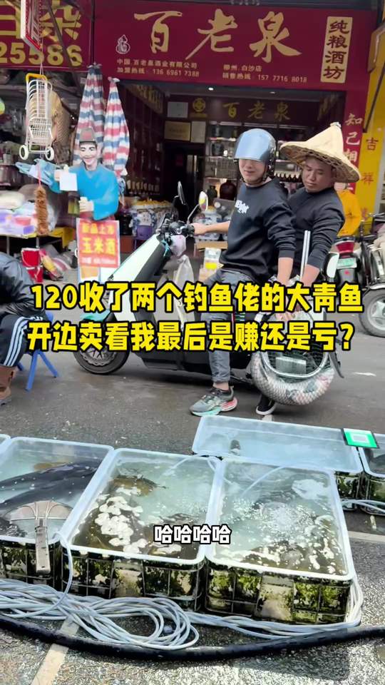 120收了两个钓鱼佬的大青鱼,开边卖看我最后是赚还是亏?杀鱼技术菜市场厨房菜刀