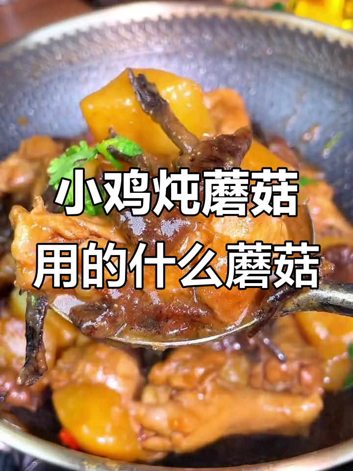 东北小鸡炖蘑菇,用的是什么品种的蘑菇?