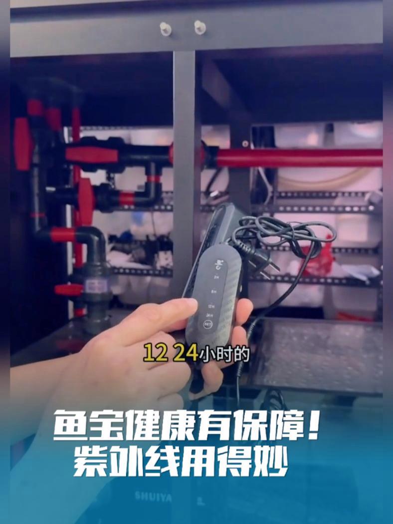 鱼宝健康有保障!紫外线用得妙 天呐!原来专业杀菌还能这么安全～特殊波长精准打击病原体,小鱼