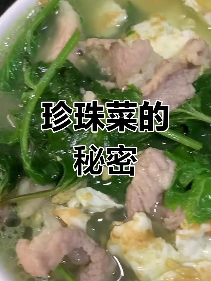 珍珠菜对女性有好处,具体原因忘了,但堂姐曾提起过
