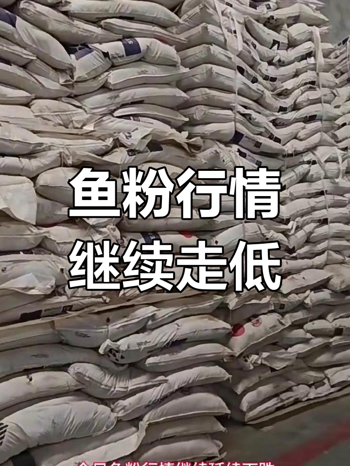 秘鲁一级鱼粉价格持续下跌,市场供大于求