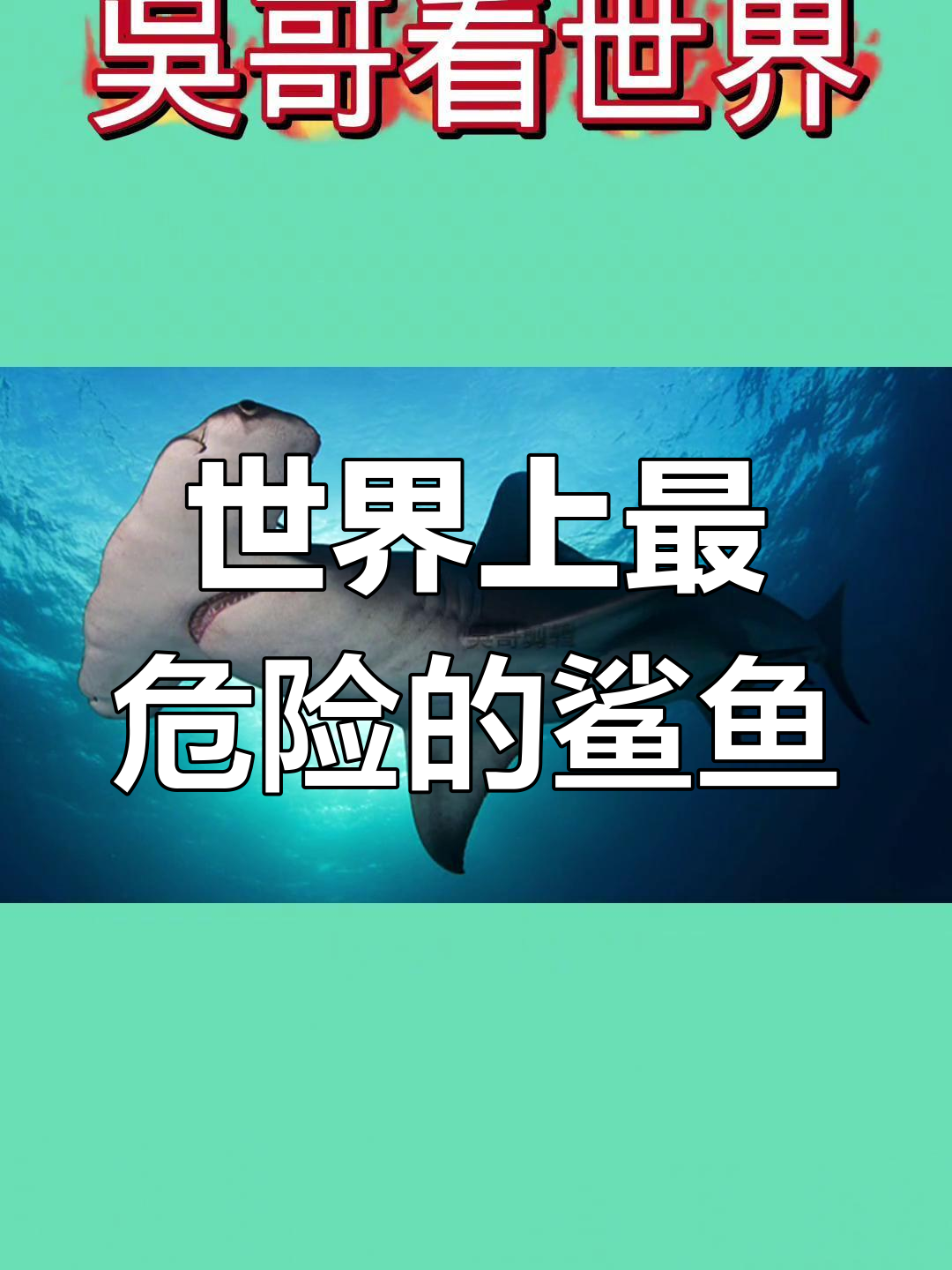 海底最恐怖的十大鲨鱼,小心这些奇葩生物!